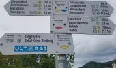 Tour Zu Fuß Forbach - Birket-Kirren-Rundweg - Photo 9