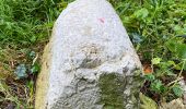Tocht Te voet Neuchâtel - Neuchâtel Cadolles - Ch. de la Châtelainie - Photo 7