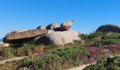 Tocht Stappen Perros-Guirec - LE SENTIER DES DOUANIERS  - Photo 16