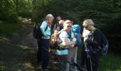 Randonnée Marche Poigny-la-Forêt - Poigny la forêt - Photo 13