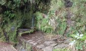Percorso Marcia Calheta - Madère : de Rabaçal vers les 25 sources - Photo 3