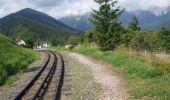 Percorso A piedi Gemeinde Puchberg am Schneeberg - Rohrbach - Arbestal - Schwarzengründen - Puchberg - Photo 3