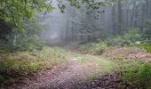Trail Trail Arfons - ballade cool post champignons 😋 - Photo 4