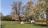 Tocht Stappen Herve - WATER TREK - Le Parcours des Vergers - 13. HERVE - VAL-DIEU - Photo 2