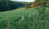 Randonnée Marche Barizey - Bourgogne à pied - Photo 14