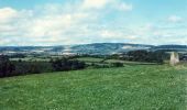 Percorso A piedi Somerset West and Taunton - Taunton Deane Circular Walk 1 - Photo 2