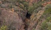 Randonnée Marche Bagnols-en-Forêt - Gorges du Blavet au col de la pierre du coucou - Photo 10