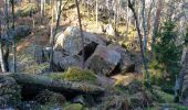 Trail Walking Fontainebleau - viennes carosses - Photo 1