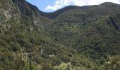 Trail On foot Montagut i Oix - Oix-Grau d'Escales - Photo 10