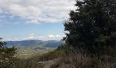 Excursión Marcha nórdica Les Plans - Col du Perthus Plateau de Grézac - Photo 10