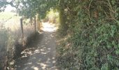 Tour Wandern Le Bono - boucle Bono, Ste Savoye, St Goustan  - Photo 6