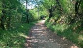 Tour Wandern Figeac - Etape13 Figeac a Carjac - Photo 2