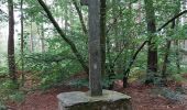 Tocht Stappen Le Gâvre - forêt du Gavre - Photo 1