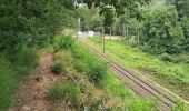 Tocht Stappen Saverne - Grotte St Vit & Rappenfels - Photo 13