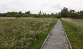 Tocht Stappen Guînes - Marais de Guines - Photo 5