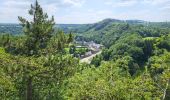 Tocht Stappen Durbuy - Bomal sur Ourthe 170625 - Photo 9
