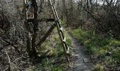 Trail Walking Loriol-sur-Drôme - Autour de Blanquinque- Bois de Lagier -Loriol - Photo 12