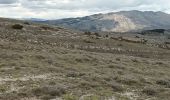 Trail Walking Caussols - Sommet de Calern + Bories-17-04-23 - Photo 7