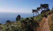 Trail Walking Crozon - FINISTÈRE-  CAP de la CHÈVRE  - Photo 4