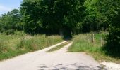 Trail Walking Hauteville-sur-Fier - circuit des onges  - Photo 1