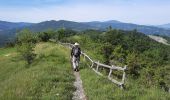 Tour Wandern Terenzo - CR_Francigena_CB_26_Terenzo-Case-Storti_Berceto_20220608 - Photo 8