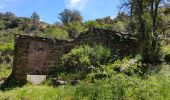 Tocht Stappen La Garde-Freinet - 83 - Le rucher de Blay et le moulin. à eau de blanche - Photo 1