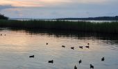 Tour Hybrid-Bike Sanguinet - Sanguinet-Le lac à la tombée de la nuit - Photo 2