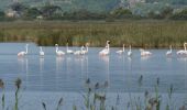 Trail Walking Gruissan - Gruissan, Ile st Martin 01 - Photo 3