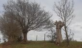 Randonnée Marche Trooz - forêt  . st hadelin  . hansez . en gelivaux . foret - Photo 2