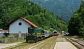 Tour Zu Fuß Tolmein - GM4O - Gorski maraton 4 občin - Photo 6