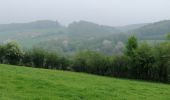 Tocht Stappen Verviers - Stembert--château des moines-cossart - Photo 1