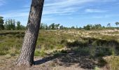 Trail Walking Kalmthout - Heide 24,2 km - Photo 3