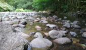 Trail Walking Sentheim - Marché au marcher 3  - Photo 3