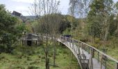 Trail Walking Martelange - Promenade des souvenirs en passant par la passerelle des oiseaux  - Photo 1