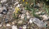 Excursión Senderismo Nîmes - Clos Gaillard  - Photo 7