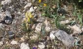 Tocht Stappen Nîmes - Clos Gaillard  - Photo 7