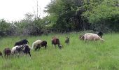 Tour Wandern Solignat - PUY D'YSSON - Photo 15