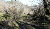Trail Walking Besse-et-Saint-Anastaise - 2020-02-15 13:19:34 Jour - Photo 3