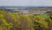 Randonnée A pied Hirschbach - Eschenfelden Rundweg 10 - Photo 2