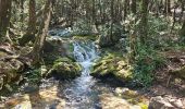 Trail Walking Nans-les-Pins - De Nans les pins vers les sources de l'Huveaune - Photo 11