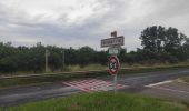 Tocht Stappen Bois-de-Haye - Audax Velaine - Photo 2