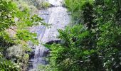 Randonnée Marche Le Prêcheur - Cascade de l'anse Couleuvre, depuis anse Céron en aller-retour ! - Photo 13