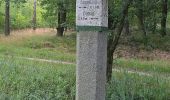 Percorso A piedi Malschwitz - Malešecy - Naturerlebnispfad „Guttauer Teiche & Olbasee