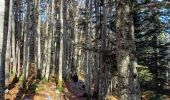 Randonnée Marche Le Bourget-du-Lac - Le Molard du mont du Chat - Photo 13