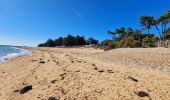 Tocht Te voet Noirmoutier-en-l'Île - Jeun et rando J3 Centre ville plage des dames - Photo 11