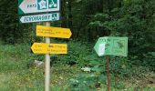 Trail Walking Écromagny - Ecromagny Rando réelle  - Photo 8