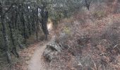 Trail Walking Montesquieu-des-Albères - dans les environs de Montesquieu  - Photo 3