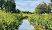 Percorso Marcia Linter - Grote Getewandeling - Photo 1