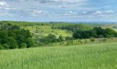 Trail  Cazes-Mondenard - Tissac pr3  - Photo 1