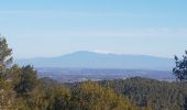 Trail Walking Tarascon - alpilles chapelle saint gabriel - Photo 12